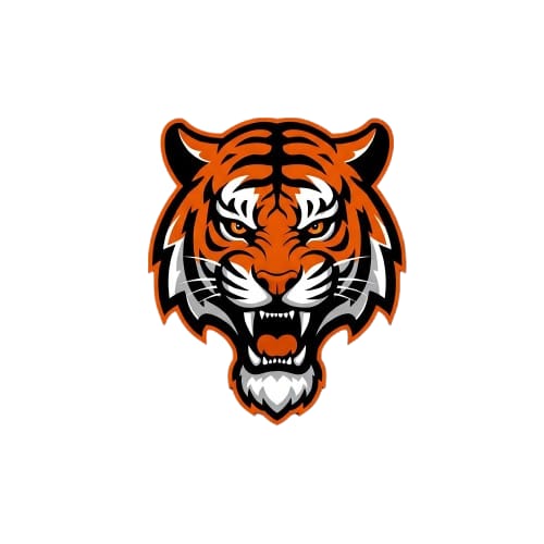 Austin Bengal Tigers